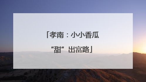 孝南：小小香瓜 “甜”出富路