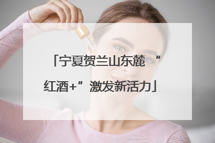 宁夏贺兰山东麓 “红酒+”激发新活力