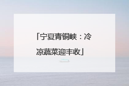 宁夏青铜峡：冷凉蔬菜迎丰收