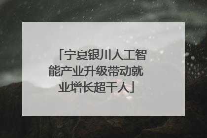 宁夏银川人工智能产业升级带动就业增长超千人