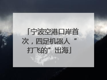 宁波空港口岸首次，四足机器人“打飞的”出海