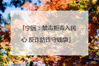 宁远：禁毒拒毒入民心 反诈防诈守钱袋
