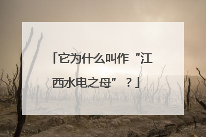 它为什么叫作“江西水电之母”？