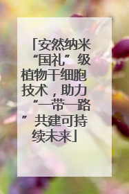 安然纳米“国礼”级植物干细胞技术，助力“一带一路”共建可持续未来