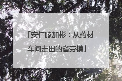 安仁滕加彬：从药材车间走出的省劳模