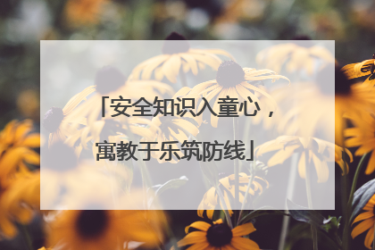 安全知识入童心，寓教于乐筑防线
