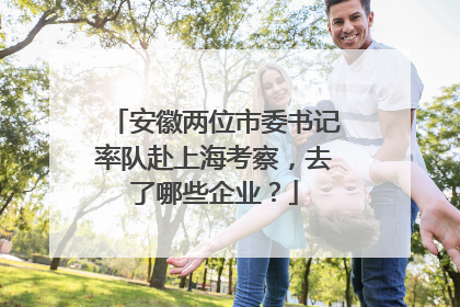安徽两位市委书记率队赴上海考察，去了哪些企业？