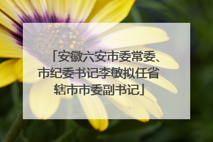 安徽六安市委常委、市纪委书记李敏拟任省辖市市委副书记
