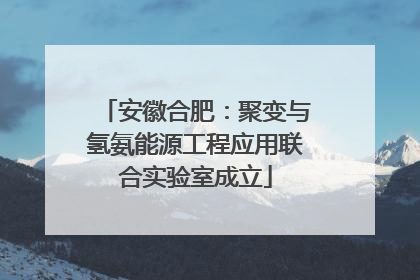 安徽合肥：聚变与氢氨能源工程应用联合实验室成立