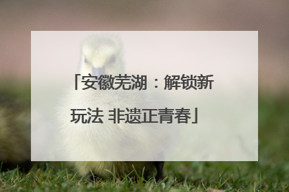 安徽芜湖：解锁新玩法 非遗正青春