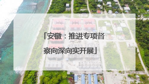 安徽：推进专项督察向深向实开展
