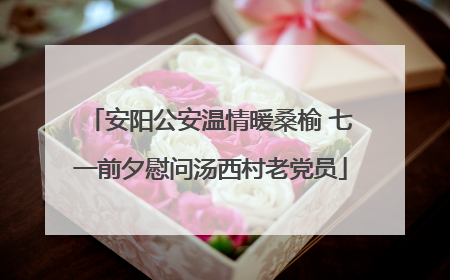 安阳公安温情暖桑榆 七一前夕慰问汤西村老党员