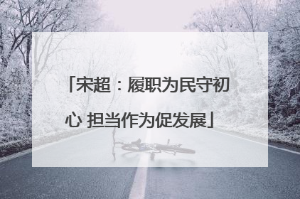 宋超：履职为民守初心 担当作为促发展