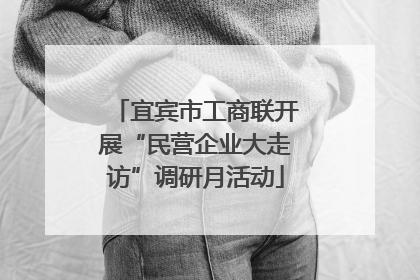 宜宾市工商联开展“民营企业大走访”调研月活动