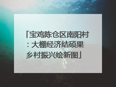 宝鸡陈仓区南阳村：大棚经济结硕果 乡村振兴绘新图