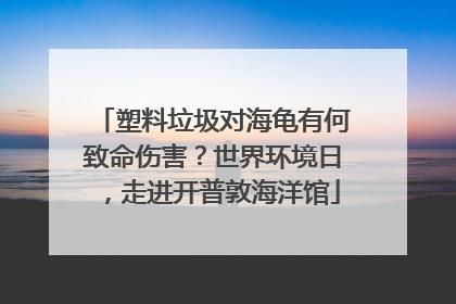 塑料垃圾对海龟有何致命伤害？世界环境日，走进开普敦海洋馆