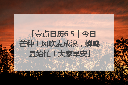 壹点日历6.5｜今日芒种！风吹麦成浪，蝉鸣夏始忙！大家早安