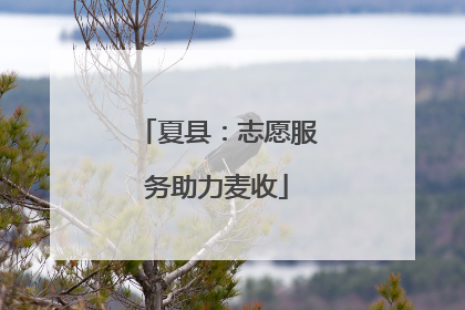 夏县:志愿服务助力麦收