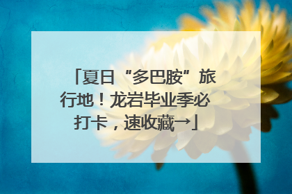 夏日“多巴胺”旅行地！龙岩毕业季必打卡，速收藏→