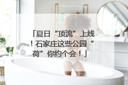 夏日“顶流”上线！石家庄这些公园“荷”你约个会！