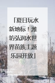 夏日玩水新地标！潍坊弘润水世界苗族主题乐园开放