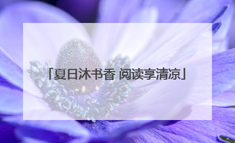 夏日沐书香 阅读享清凉