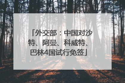 外交部：中国对沙特、阿曼、科威特、巴林4国试行免签