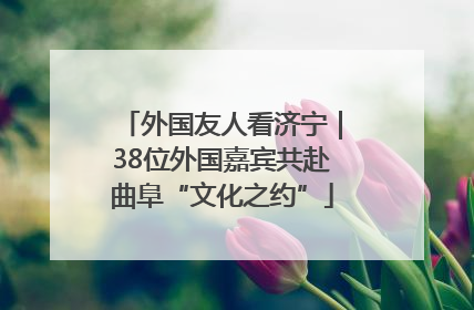 外国友人看济宁｜38位外国嘉宾共赴曲阜“文化之约”