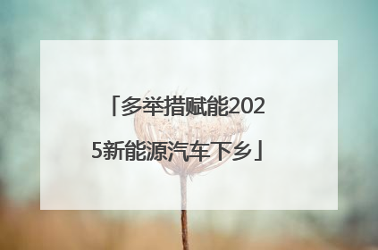 多举措赋能2025新能源汽车下乡