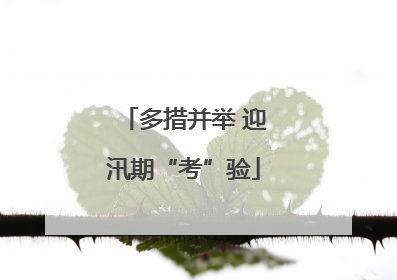 多措并举 迎汛期“考”验