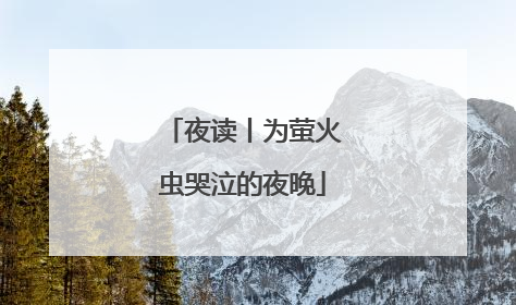 夜读丨为萤火虫哭泣的夜晚