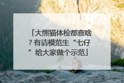 大熊猫体检都查啥？有请模范生“七仔”给大家做个示范