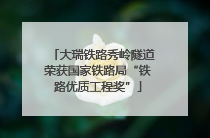 大瑞铁路秀岭隧道荣获国家铁路局“铁路优质工程奖”