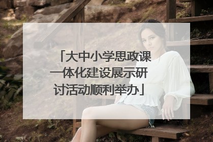 大中小学思政课一体化建设展示研讨活动顺利举办