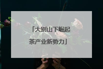 大别山下崛起茶产业新势力