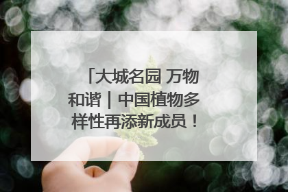 大城名园 万物和谐｜中国植物多样性再添新成员！它只在西藏墨脱