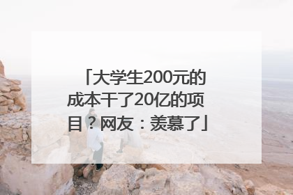 大学生200元的成本干了20亿的项目？网友：羡慕了
