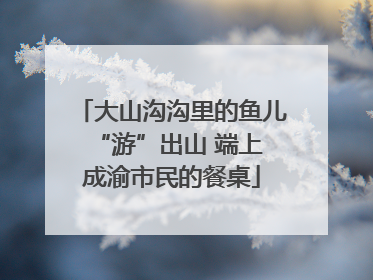 大山沟沟里的鱼儿 “游”出山 端上成渝市民的餐桌