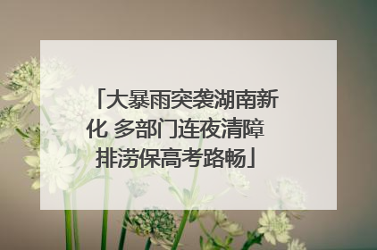 大暴雨突袭湖南新化 多部门连夜清障排涝保高考路畅