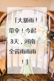 大暴雨！带伞！今起3天，河南全省雨雨雨！