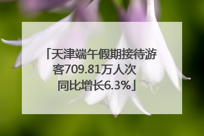天津端午假期接待游客709.81万人次 同比增长6.3%