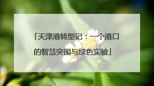 天津港转型记：一个港口的智慧突围与绿色实验