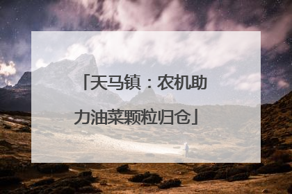 天马镇：农机助力油菜颗粒归仓