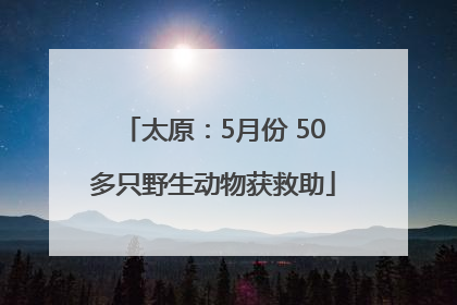 太原：5月份 50多只野生动物获救助