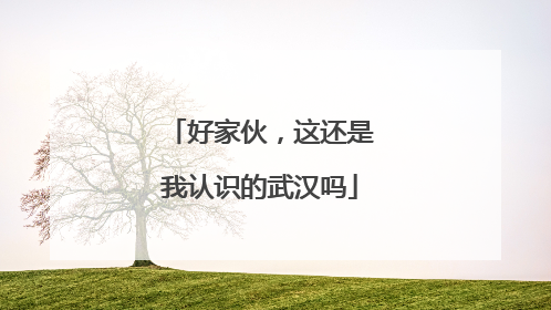 好家伙，这还是我认识的武汉吗