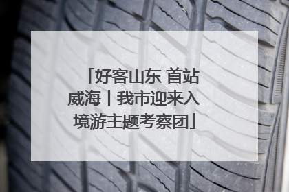 好客山东 首站威海丨我市迎来入境游主题考察团