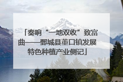奏响“一地双收”致富曲——鄄城县董口镇发展特色种植产业侧记