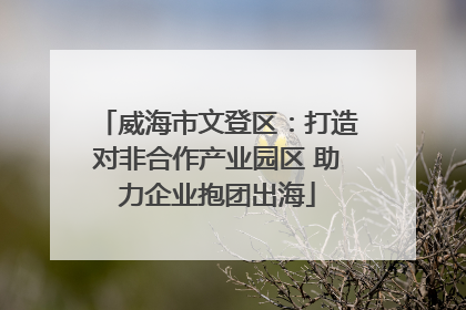威海市文登区：打造对非合作产业园区 助力企业抱团出海