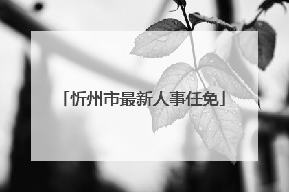 忻州市最新人事任免