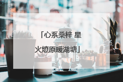 心系桑梓 星火燎原暖湖塘